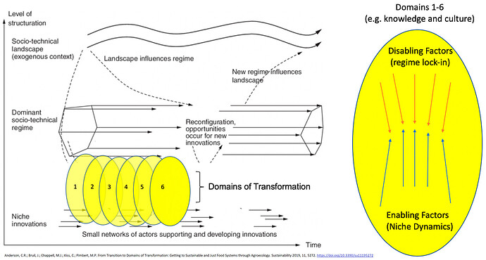 From Transition to Domains of Transformation - multilevel perspective -red