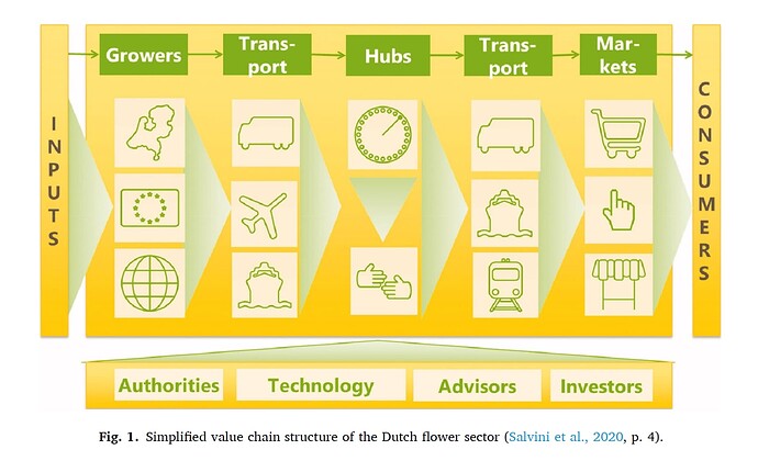 Dutch flower sector value chain