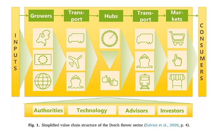 Dutch flower sector value chain